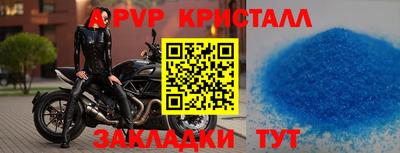 гидра Будённовск