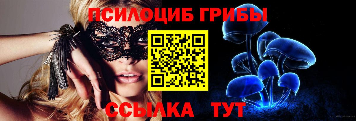 купить  цена  Галлюциногенные грибы MAGIC MUSHROOMS  Галлюциногенные грибы MAGIC MUSHROOMS  Вход с VPN  Советск 